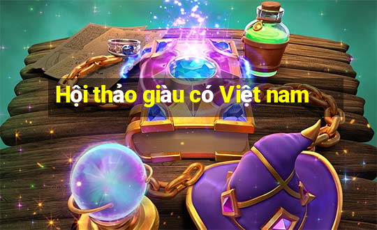 Hội thảo giàu có Việt nam