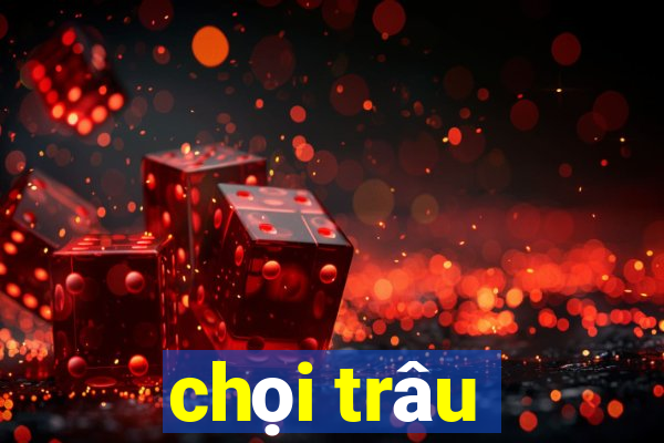 chọi trâu