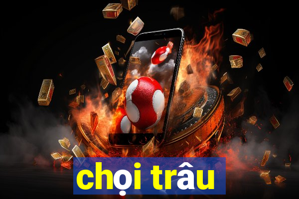 chọi trâu