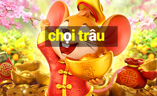 chọi trâu