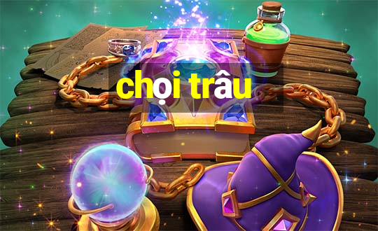 chọi trâu