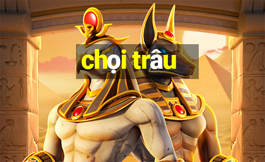 chọi trâu