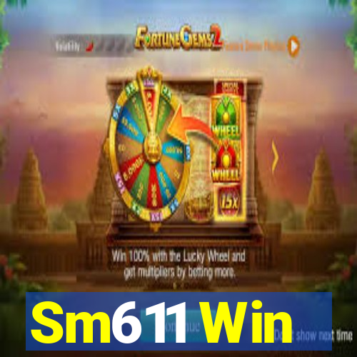 Sm611 Win