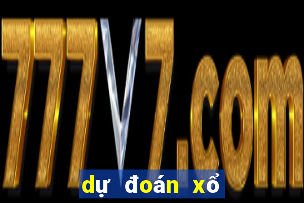 dự đoán xổ số 24h