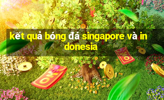 kết quả bóng đá singapore và indonesia