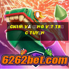 Chim và động vật trực tuyến