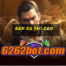 ban ca thẻ cào