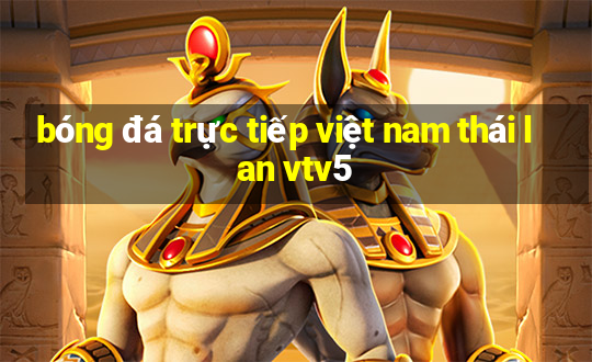 bóng đá trực tiếp việt nam thái lan vtv5