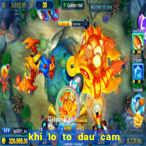 khi lo to dau cam duoi cam