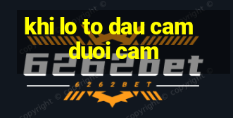 khi lo to dau cam duoi cam