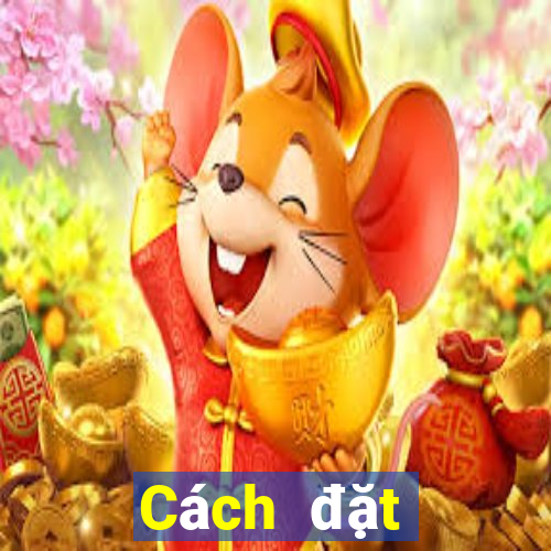 Cách đặt cược XSHCM Thứ 3