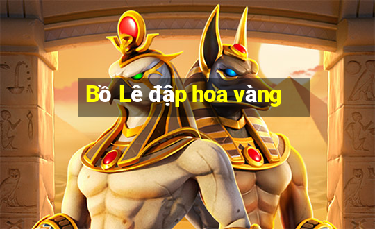 Bồ Lê đập hoa vàng