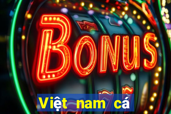 Việt nam cá bóng trò chơi 2017