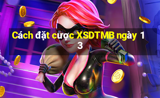 Cách đặt cược XSDTMB ngày 13