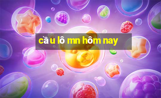 cầu lô mn hôm nay