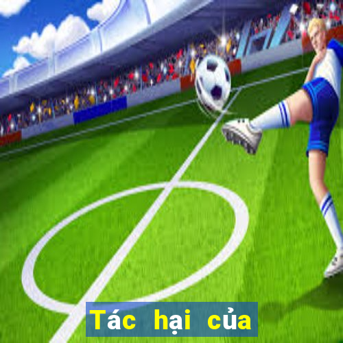 Tác hại của cờ bạc online