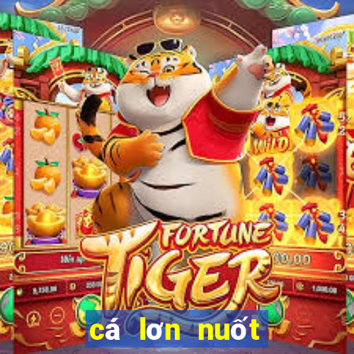 cá lơn nuốt cá bé game