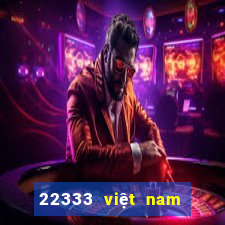 22333 việt nam màu sắc