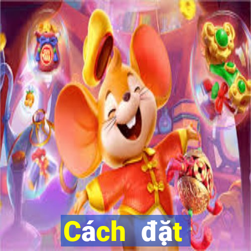 Cách đặt cược XSHP hôm nay