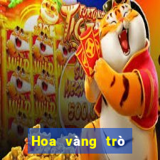 Hoa vàng trò chơi ở Việt nam