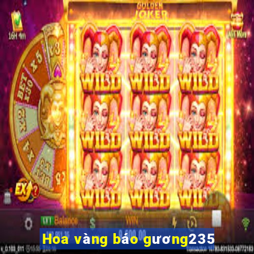 Hoa vàng báo gương235