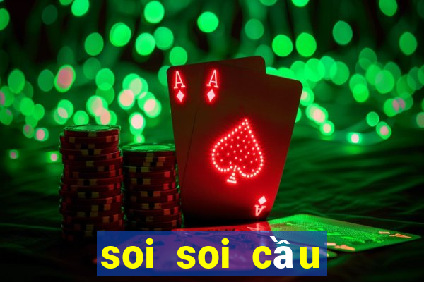 soi soi cầu miền bắc