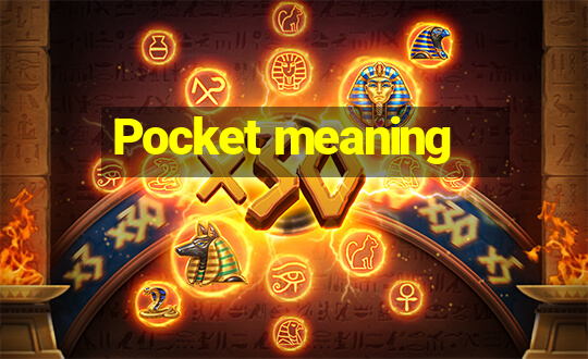 Pocket meaning