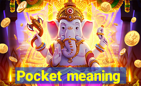 Pocket meaning