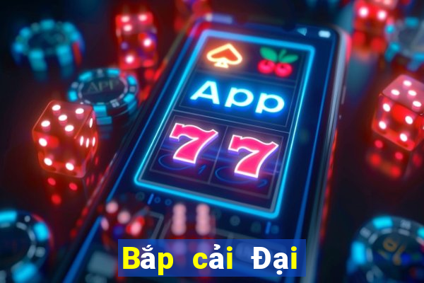 Bắp cải Đại Quan Diễn đàn 99