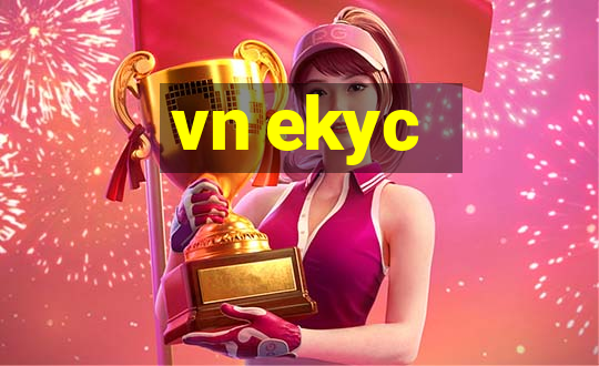 vn ekyc