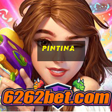 pintina