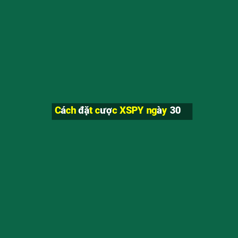 Cách đặt cược XSPY ngày 30