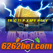 Trực tiếp XSPY ngày 16