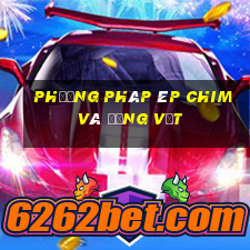 Phương pháp ép chim và động vật