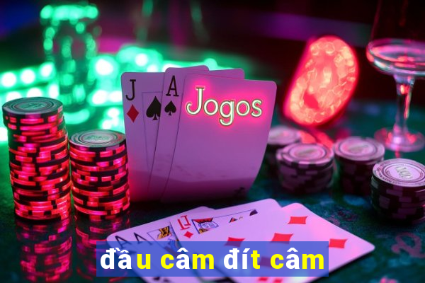 đầu câm đít câm