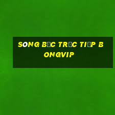 sòng bạc trực tiếp bongvip