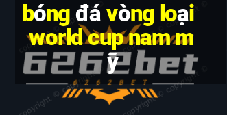 bóng đá vòng loại world cup nam mỹ