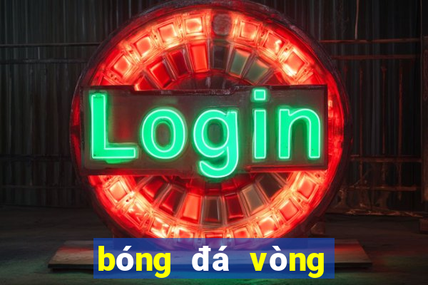 bóng đá vòng loại world cup nam mỹ