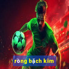 rồng bặch kim