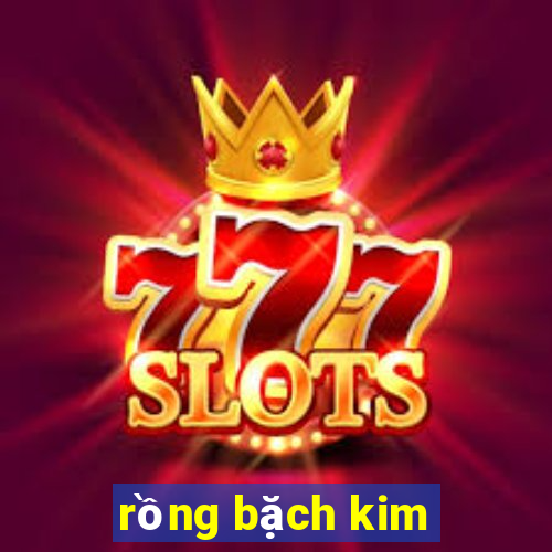 rồng bặch kim