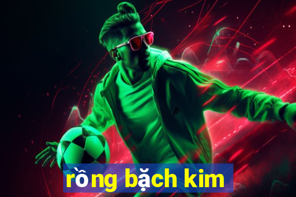 rồng bặch kim