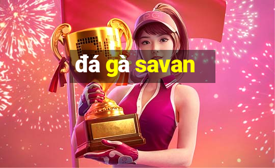 đá gà savan