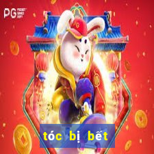 tóc bị bết là gì