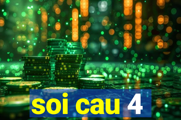 soi cau 4