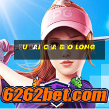 Ưu đãi của Bảo Long