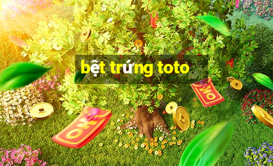 bệt trứng toto