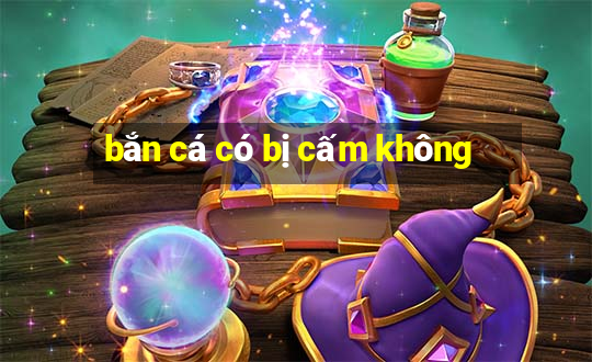 bắn cá có bị cấm không