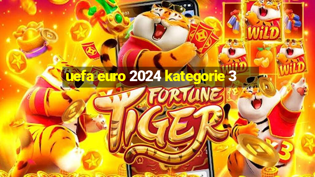 uefa euro 2024 kategorie 3