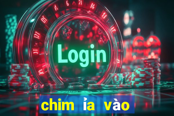 chim ỉa vào người là điềm gì