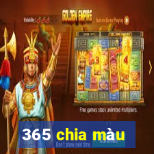 365 chia màu